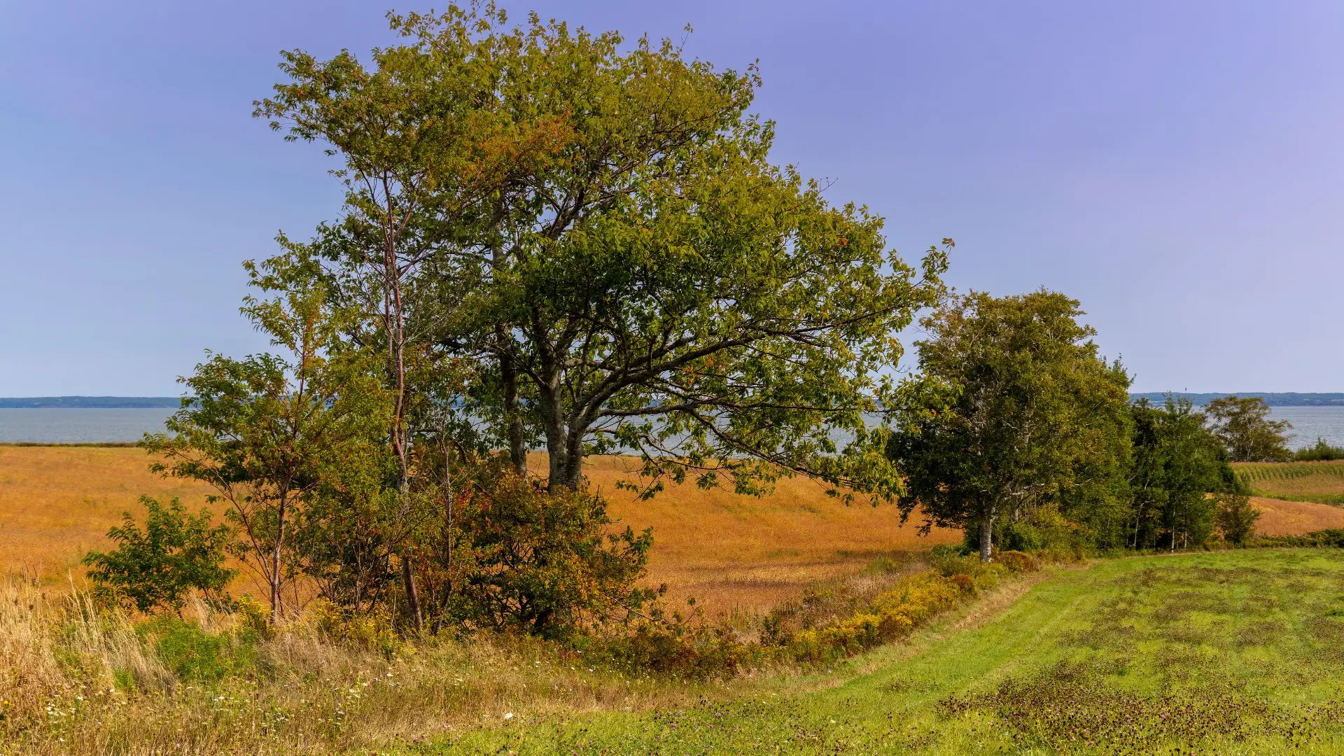 Annapolis Valley, Nova Scotia